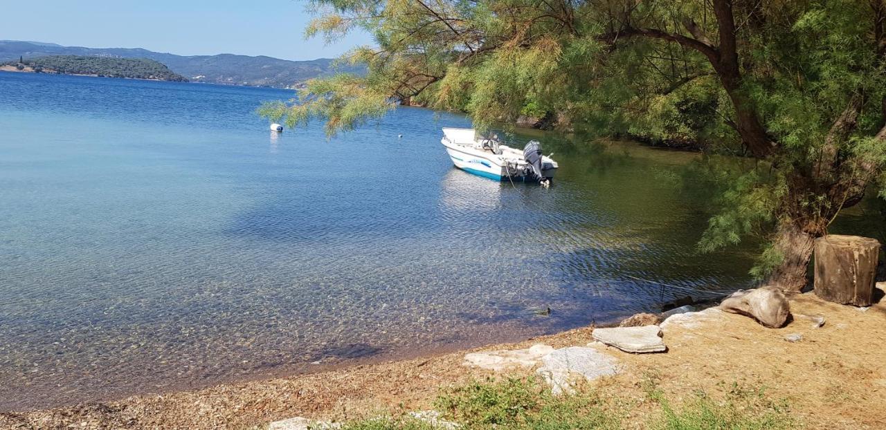 Tilemvi Seaside House Milina Pelion!!! Βίλα Koukouleika Εξωτερικό φωτογραφία
